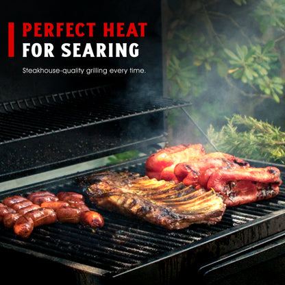 Pre seasoned Cast Iron Cooking Grates for Spirit® 310/320-Genesis® B/C Gas Grills (Set of 2)